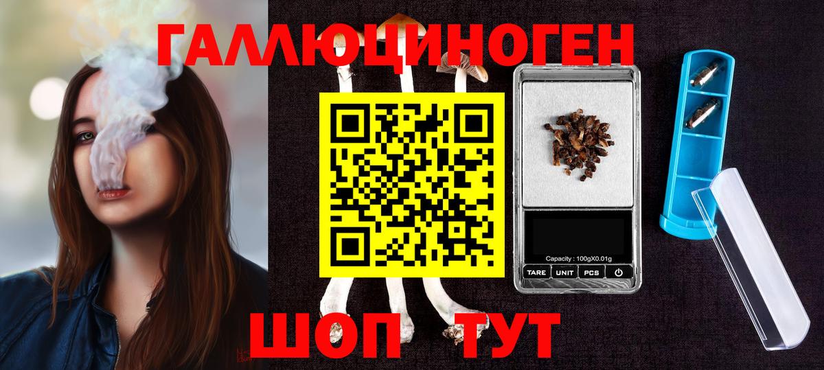 Галлюциногенные грибы Psilocybe Клинцы