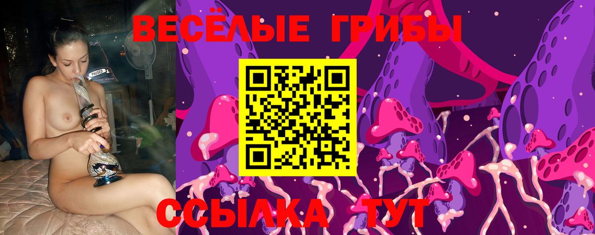 Клинцы  Галлюциногенные грибы MAGIC MUSHROOMS  Вход с VPN 